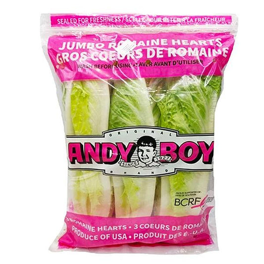 lettuce Andy boy/牛利生菜