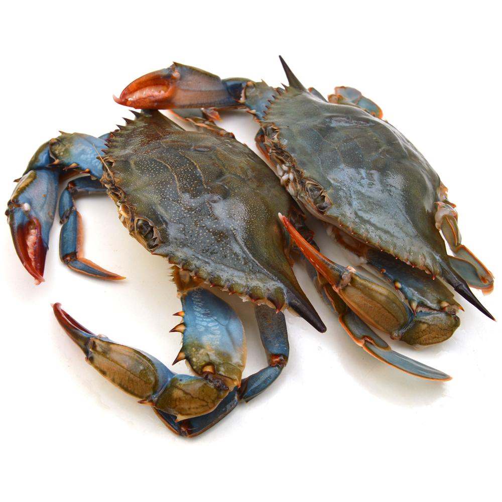 Blue Crab Just Fri, Sat, Sun