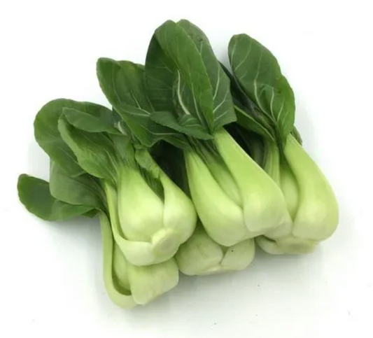 Shanghai Bok Choy/上海白菜